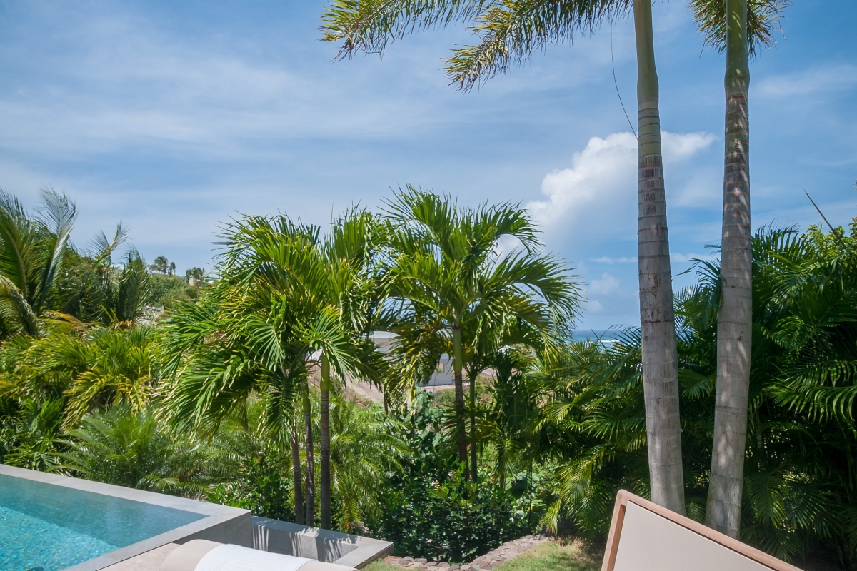 Villa Palm